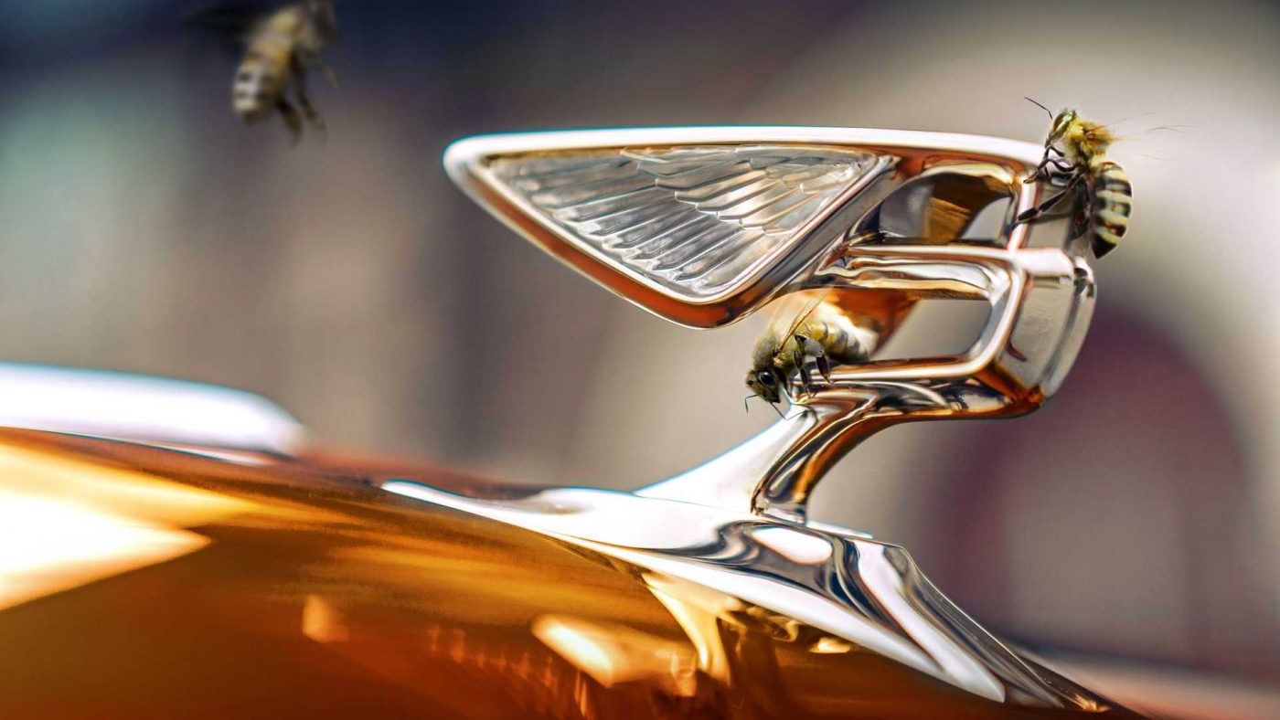 Las abejas de Bentley, un éxito total