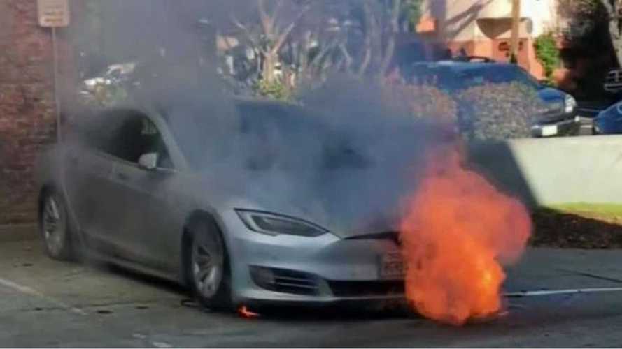 En enero Tesla vendió solo un automóvil en Corea del Sur 4